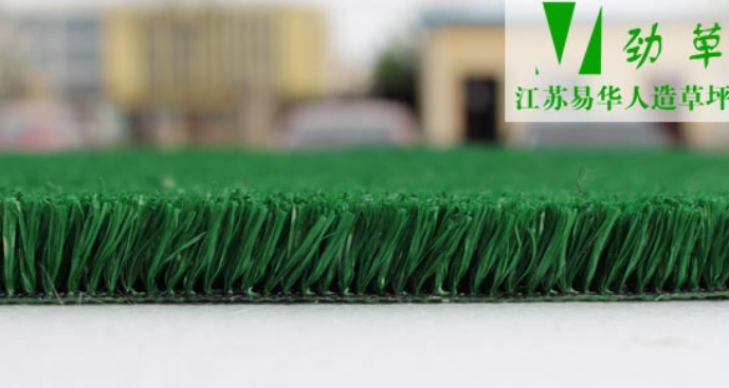 La différence entre l’herbe artificielle et les tapis couramment utilisés
