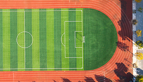 Herbe sportive