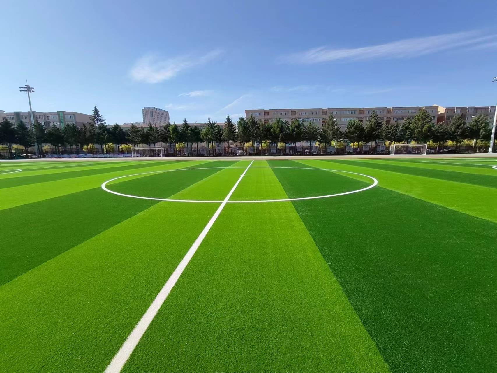 Toutes les herbes sportives