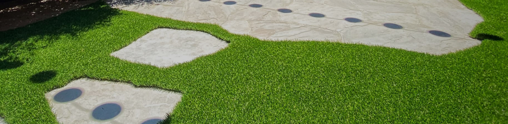 Herbe paysage